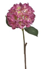 hortenzie 59 cm - růžová fuchsie