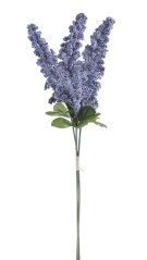 amaranthus (3 ks) - modrá