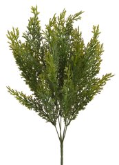 túje 41 cm - zelená