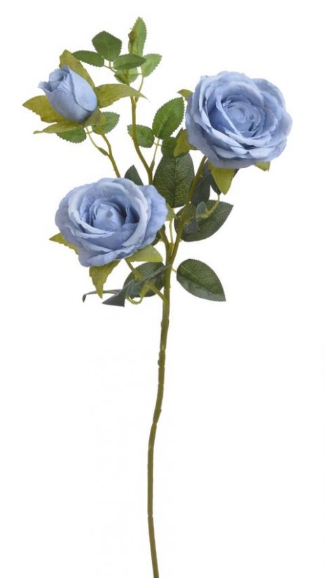 růže velká - modrá
