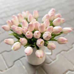 tulipán pěnový (5 ks) - bílá/růžová
