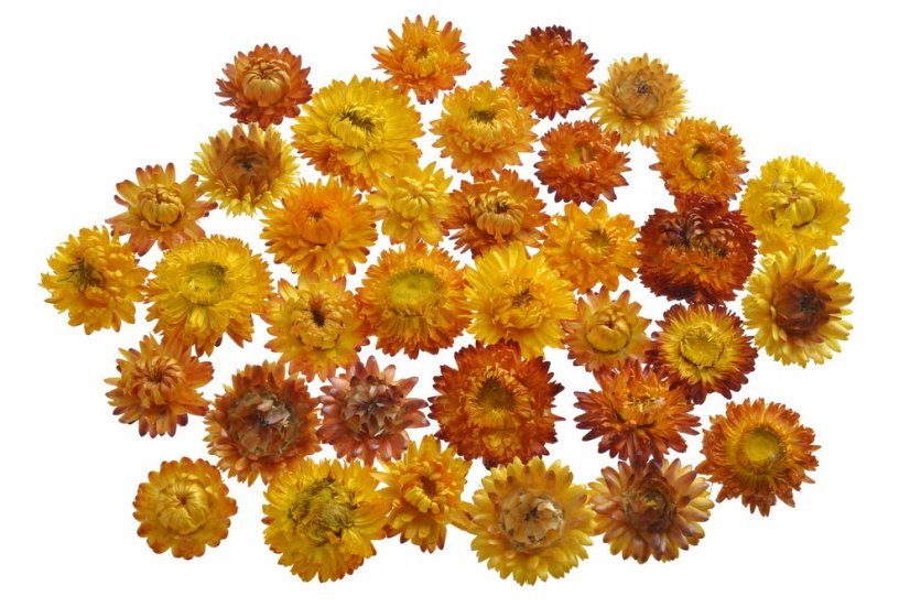 slaměnky (50 g) - tm.červená