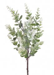 eukalyptus 45 cm - zelená/bílá