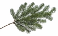 huňatá větvička jehličí 68 cm - zelená