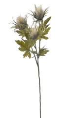 bodlák x3 s listy - krémová