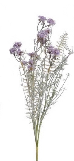 luční květy omrzlé - fialová