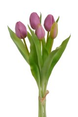 svazek tulipánů (5 ks) - růžová