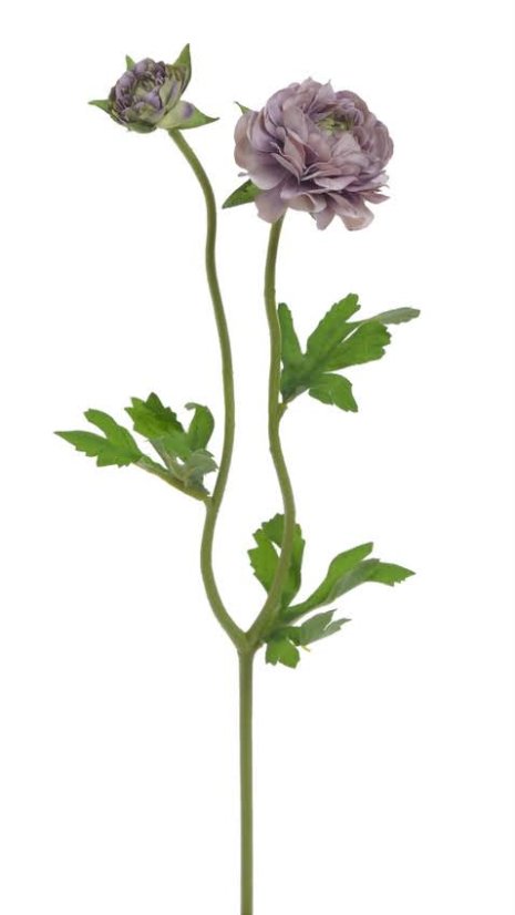 ranunculus s poupátkem 39 cm - fialová vintage