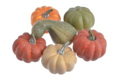 dýně mix (6 ks)