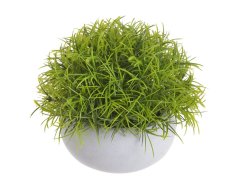 tráva v květináči