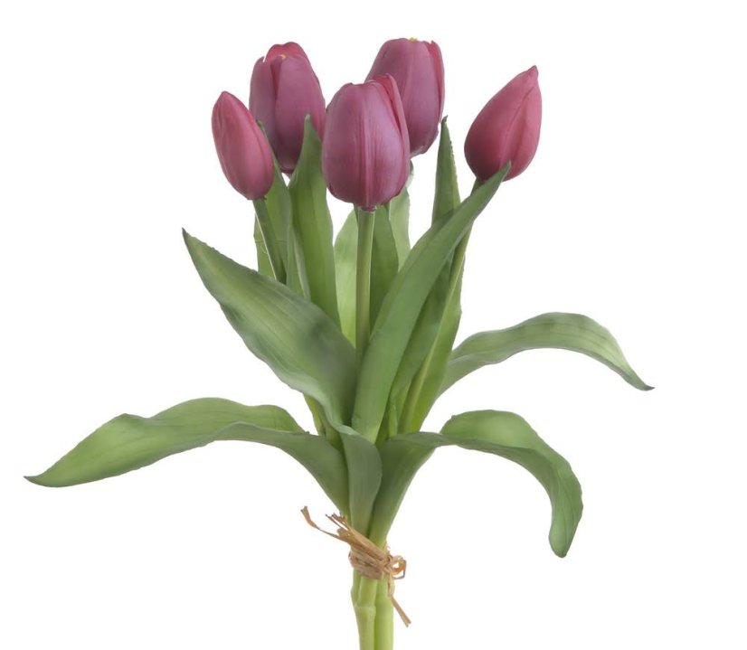svazek tulipánů (5 ks) - tm. růžová