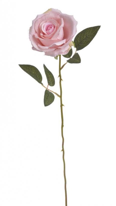 růže na dlouhém stonku - růžová světlá