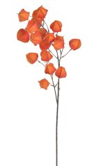 mochyně 97 cm - oranžová