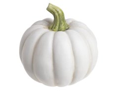 dýně se stopkou 15 cm