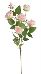 zahradní růže 79 cm - růžová