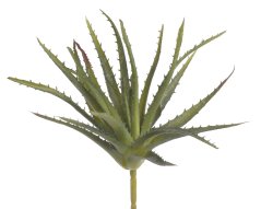 umělé aloe vera - zelená