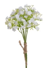 gypsophila - šater (5 ks) - bílá