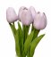 tulipán pěnový (5 ks) - fialová OLD