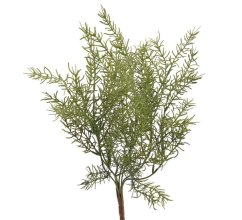 asparagus x7 43 cm - zelená