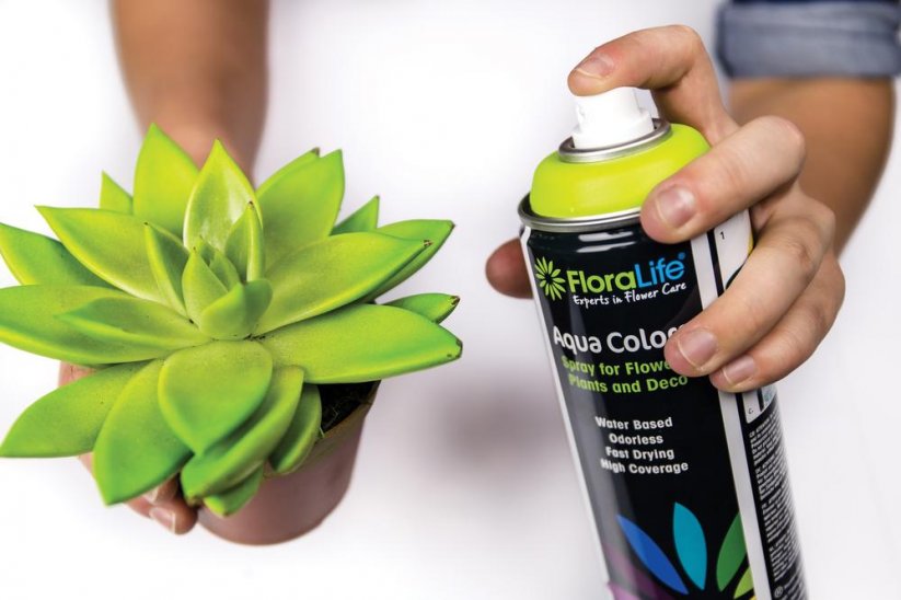 Aqua Colors univerzální spray - tráv. zelená