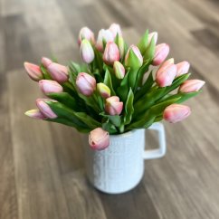 svazek tulipánů (5 ks) - světlá růžová