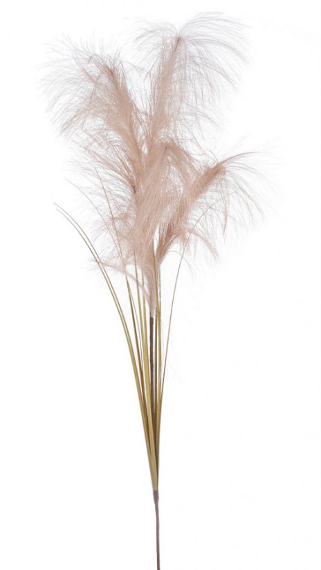 umělá pampová tráva (pampas) - nude