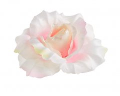 růže - hlavičky (12 ks) - bílá se zeleným nádechem + růžový střed