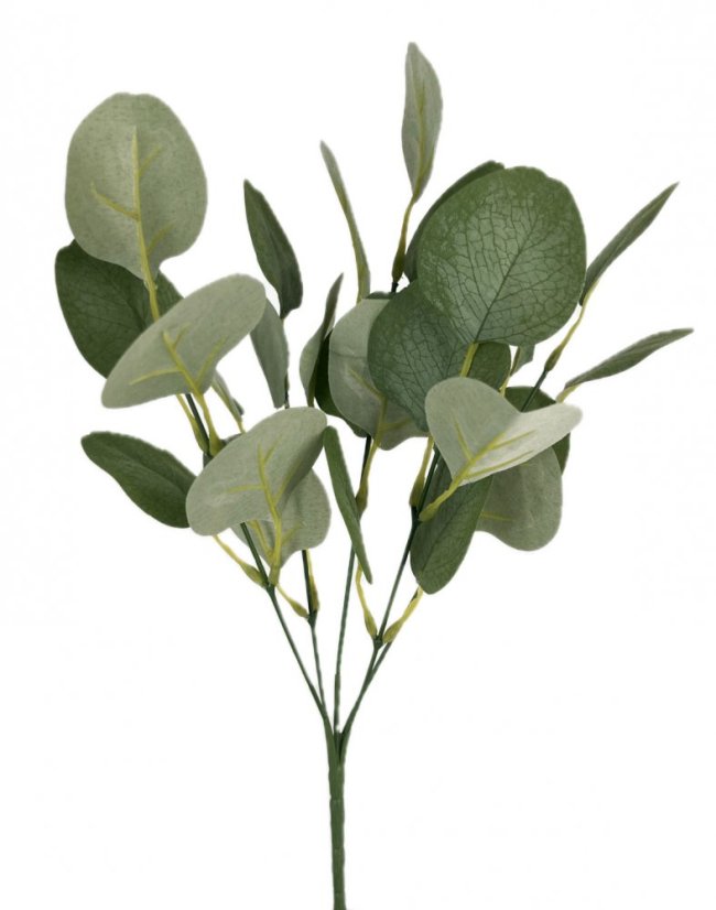 trs eukalyptus - zelenošedá