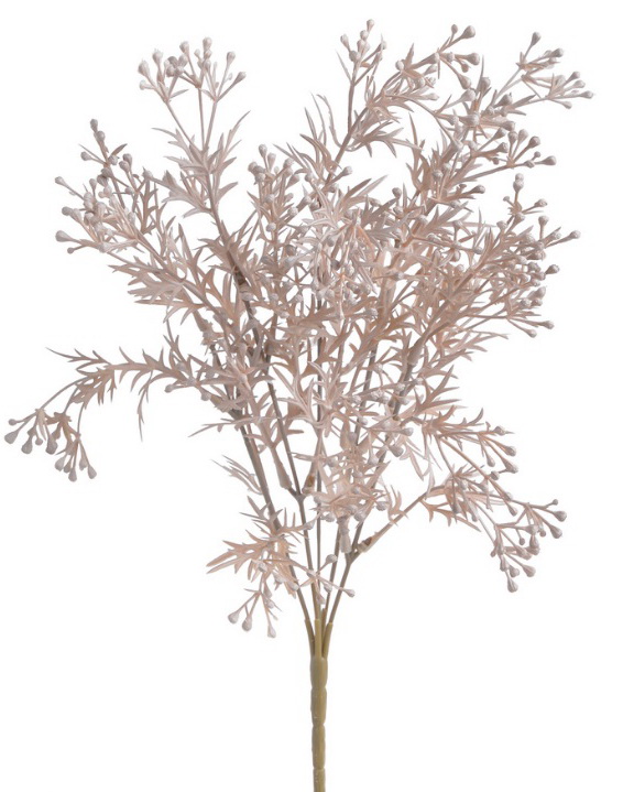 broom bloom x5 - béžová