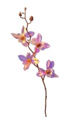 OPALIZZE orchidea 48 cm – iridescentná ružová