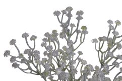 gypsophila 29 cm - šedá