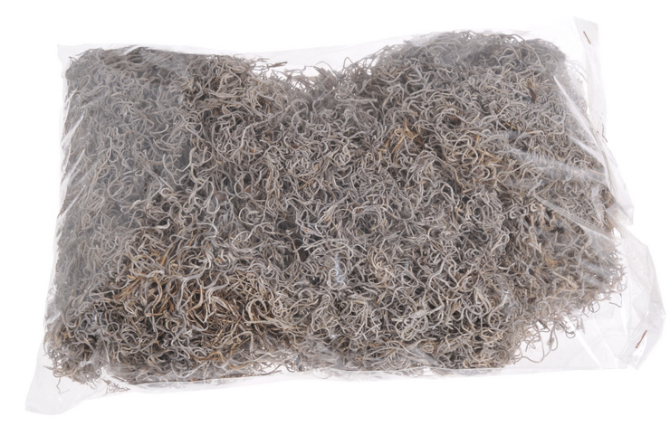 tilancia moss (300 g) natural