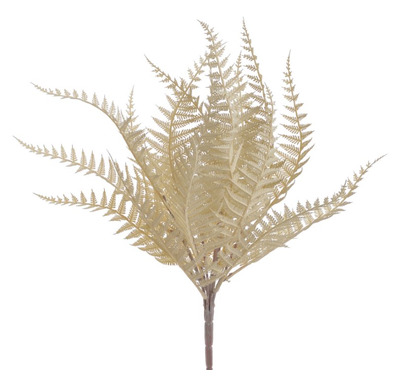 kapradí trs 55 cm - krémová