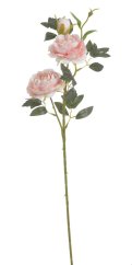 plnokvětá růže 65 cm - růžová