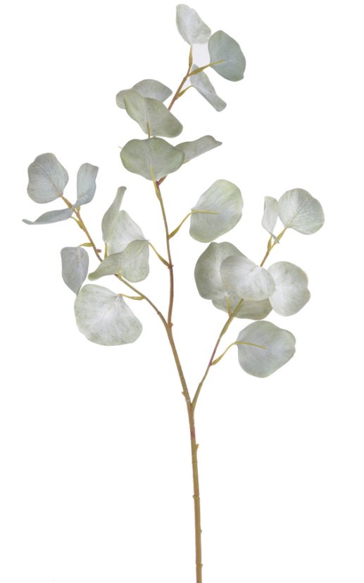 eukalyptus 76 cm - světlá zelená