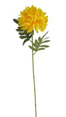 chryzantéma 51 cm - žlutá