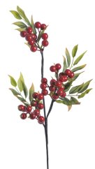 velké bobule s listy - červená šípková