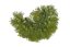 umělohmotný mech - zelená