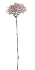 rozchodník 61 cm - růžovobéžová