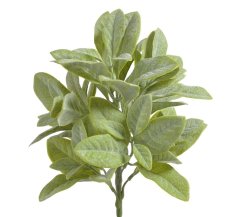 flokovaný stachys - zelená