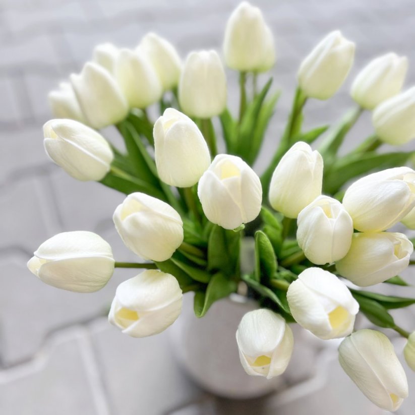 tulipán pěnový (5 ks) - bílá se zeleným nádechem
