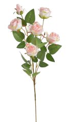 zahradní růže 79 cm - růžová
