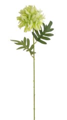 chryzantéma 51 cm - světlá zelená
