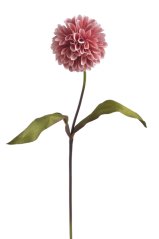 jiřina s listy 71 cm - starorůžová