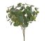 eukalyptus trs - zelená tm.