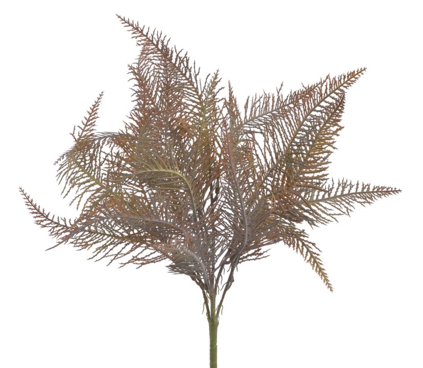 kapradina trs 45 cm - šedá/okrová