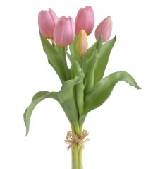 svazek tulipánů (5 ks) - růžová