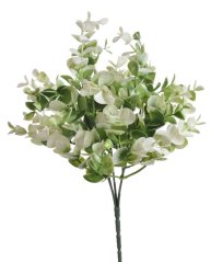 trs eukalyptus zaprášený  - zelená/bílá