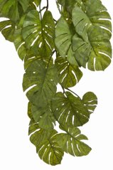 převis monstera 95 cm - zelená