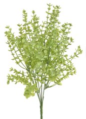 drobnolistý eukalyptus trs - zelená světlá